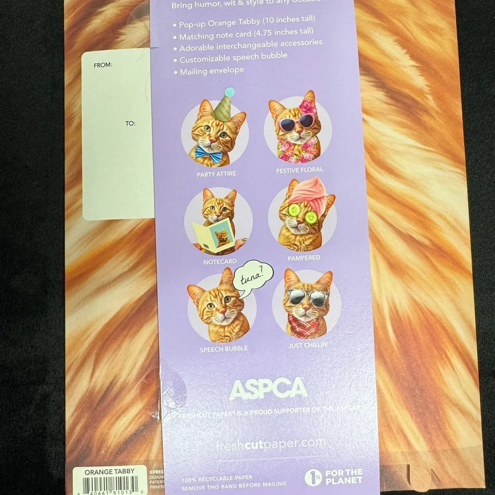 BUNDLE SALE! - Orange Tabby Pop-Up Cat Paper figure